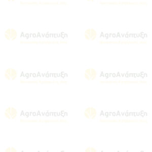 Δείκτης τοποθέτησης