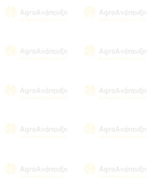 Δείκτης τοποθέτησης