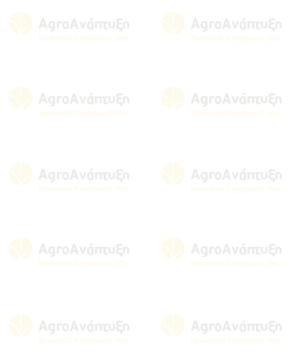 Δείκτης τοποθέτησης