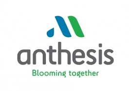 ANTHESIS