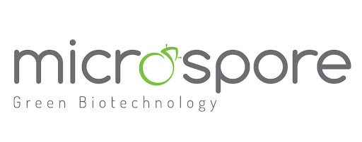 MICROSPORE