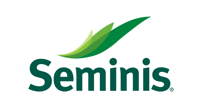 SEMINIS